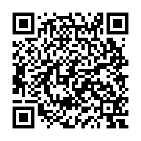 QR code for TQP313