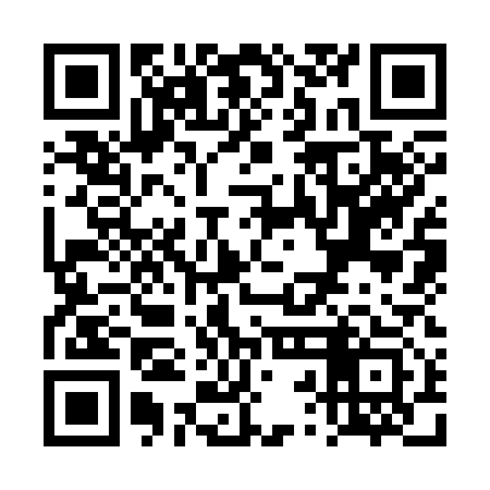 QR code for TRK313