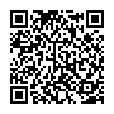 QR code for TSI938