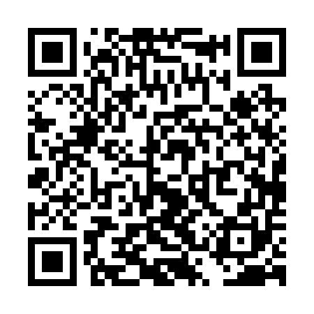 QR code for TSP250