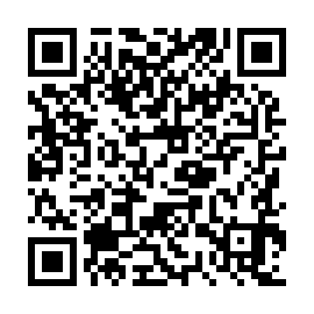 QR code for TSX991