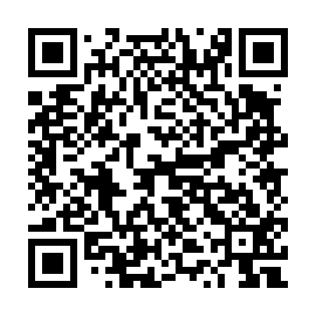 QR code for TTP413