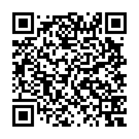 QR code for TYZ079