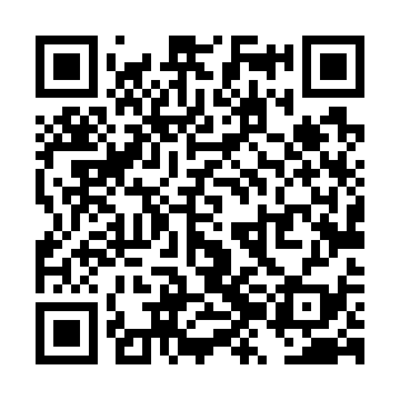 QR code for TZL739