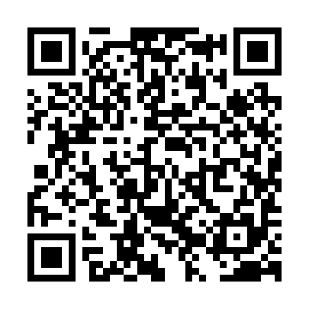 QR code for TZY295