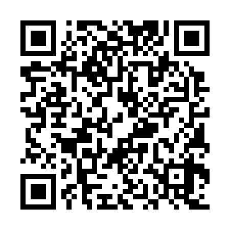 QR code for UAE338