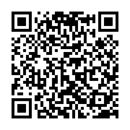 QR code for UBF029