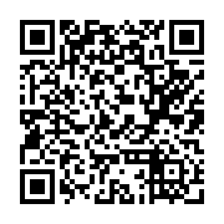 QR code for UBN411