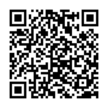 QR code for UDD010