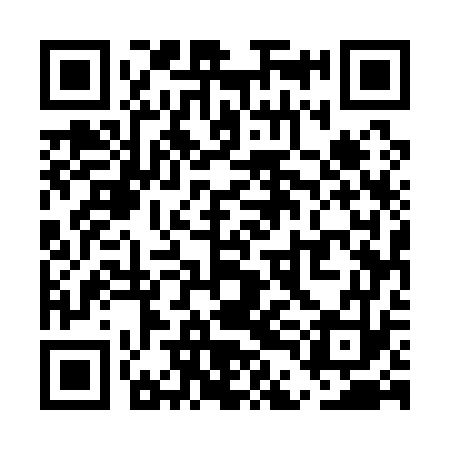 QR code for UDE173