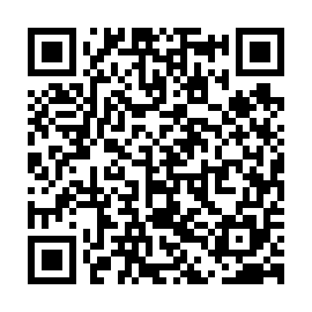 QR code for UDE655