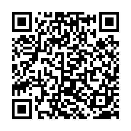 QR code for UDF203