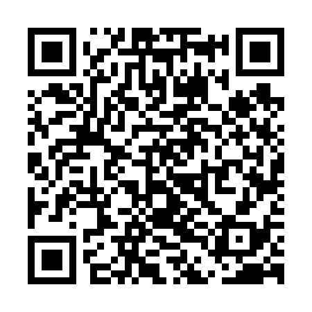 QR code for UDF638