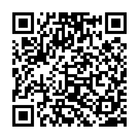 QR code for UDG595