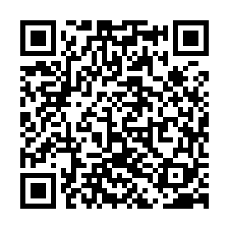 QR code for UDI969