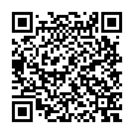 QR code for UDP173
