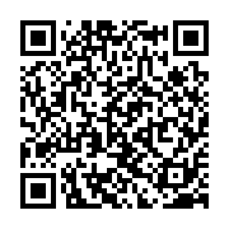QR code for UDW311