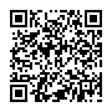 QR code for UDX385