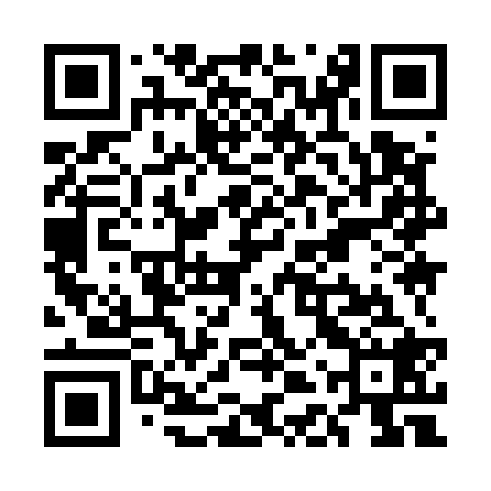 QR code for UDY528