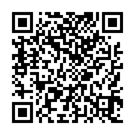 QR code for UGX411