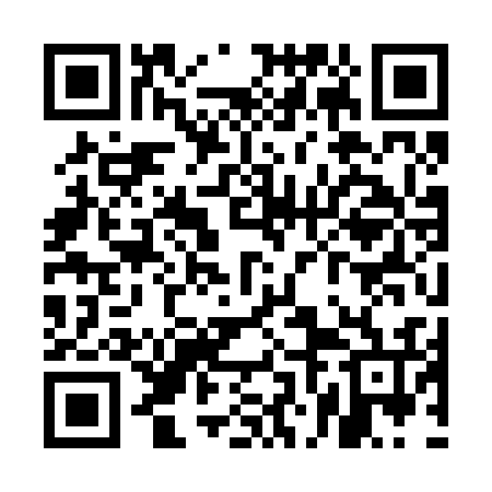 QR code for UNK236