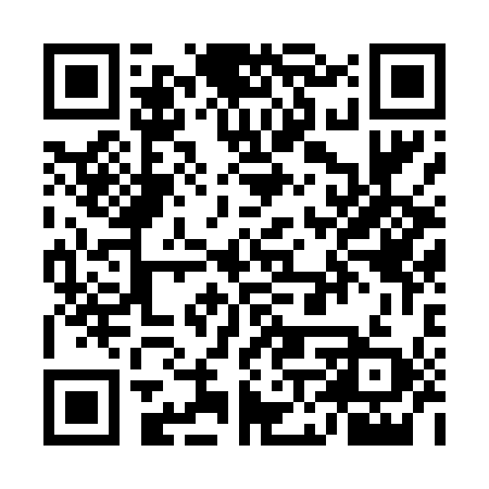 QR code for UNR419