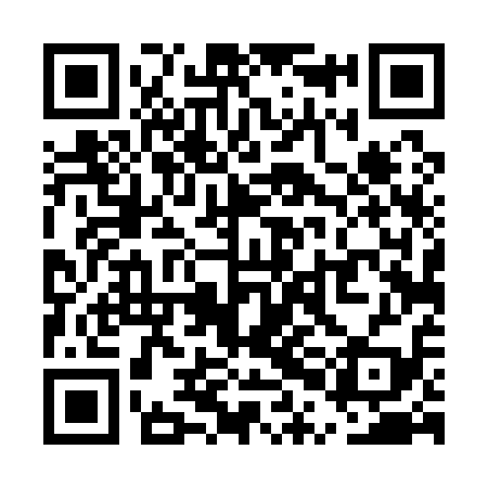 QR code for UPD119