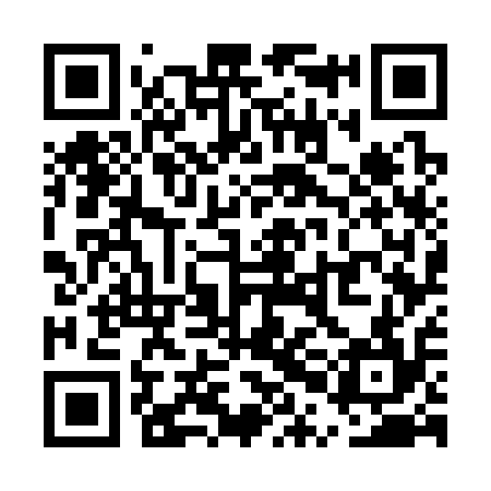 QR code for UPG314