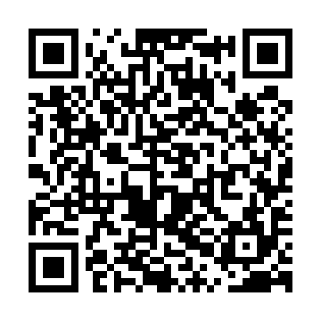 QR code for UPG594