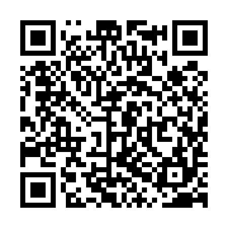 QR code for UPI594
