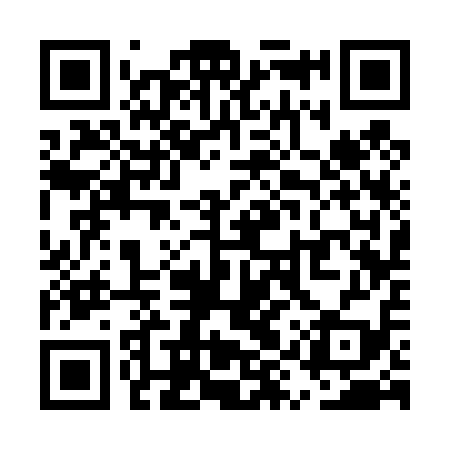 QR code for UYS419