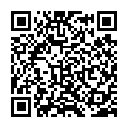 QR code for VCU619