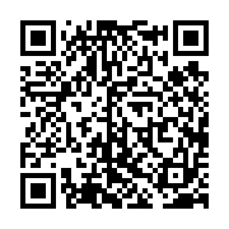 QR code for VDP613