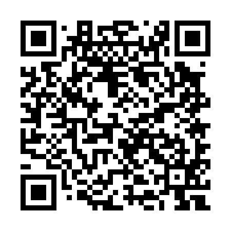 QR code for VDU095