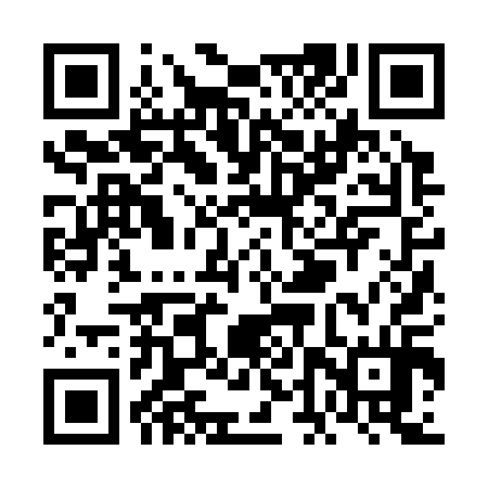 QR code for VDZ314
