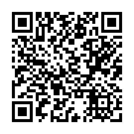 QR code for VDZ339