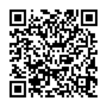 QR code for VEE333