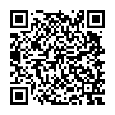 QR code for VEU493
