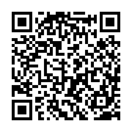 QR code for VEX294
