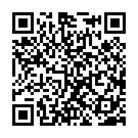 QR code for VFP031