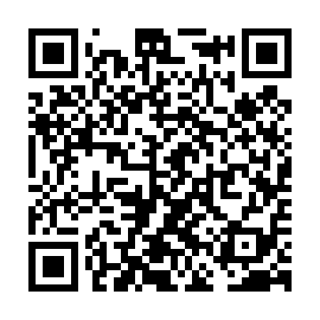 QR code for VFS419