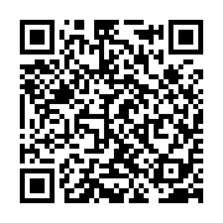 QR code for VFS919