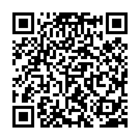 QR code for VGZ439