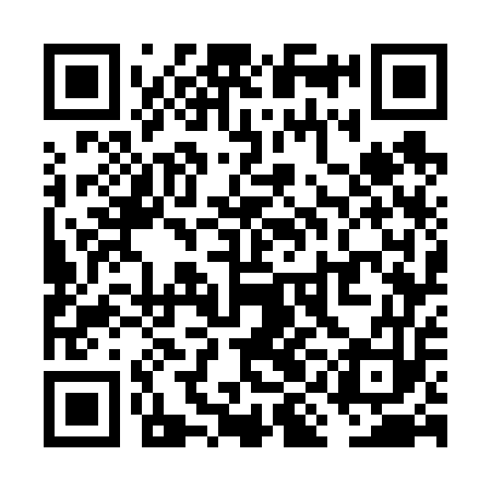 QR code for VIG653