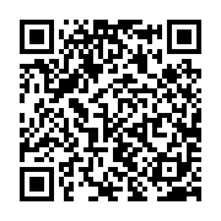 QR code for VIT291