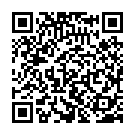 QR code for VIZ238