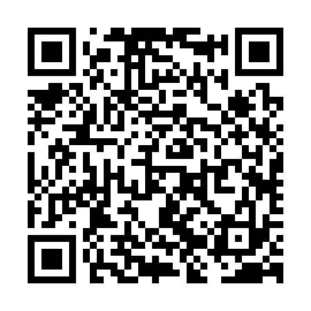 QR code for VJR333