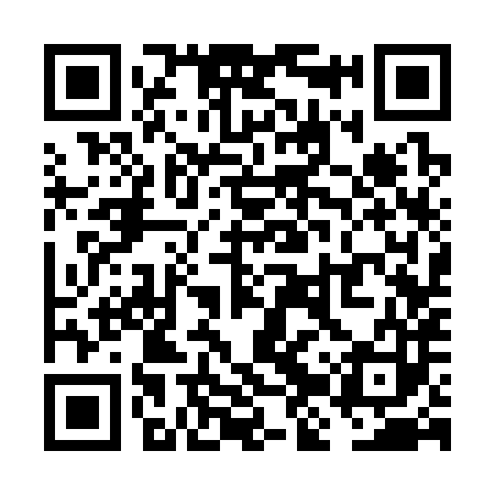 QR code for VJS383