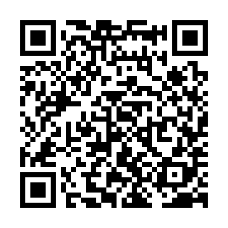 QR code for VKG388