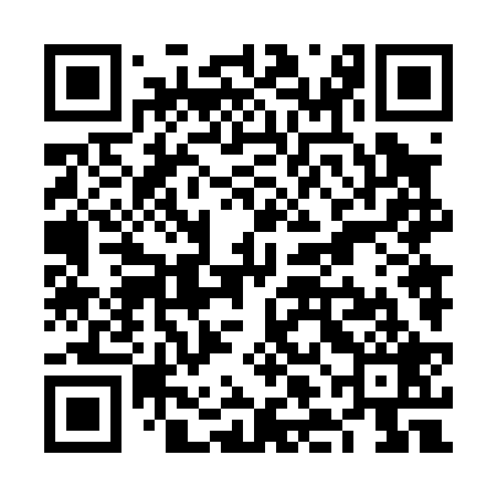 QR code for VLN029